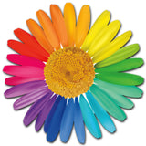 Rainbow Daisy Acrylic