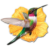 Hummingbird Acrylic