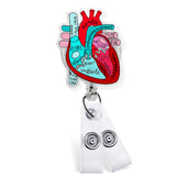 Acrylic Anatomical Heart