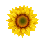 Sunflower Acrylic