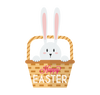 Easter Bunny Acrylic